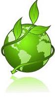 Image of a green coloured world globe with a green coloured vine with green leaves wrapped around it.