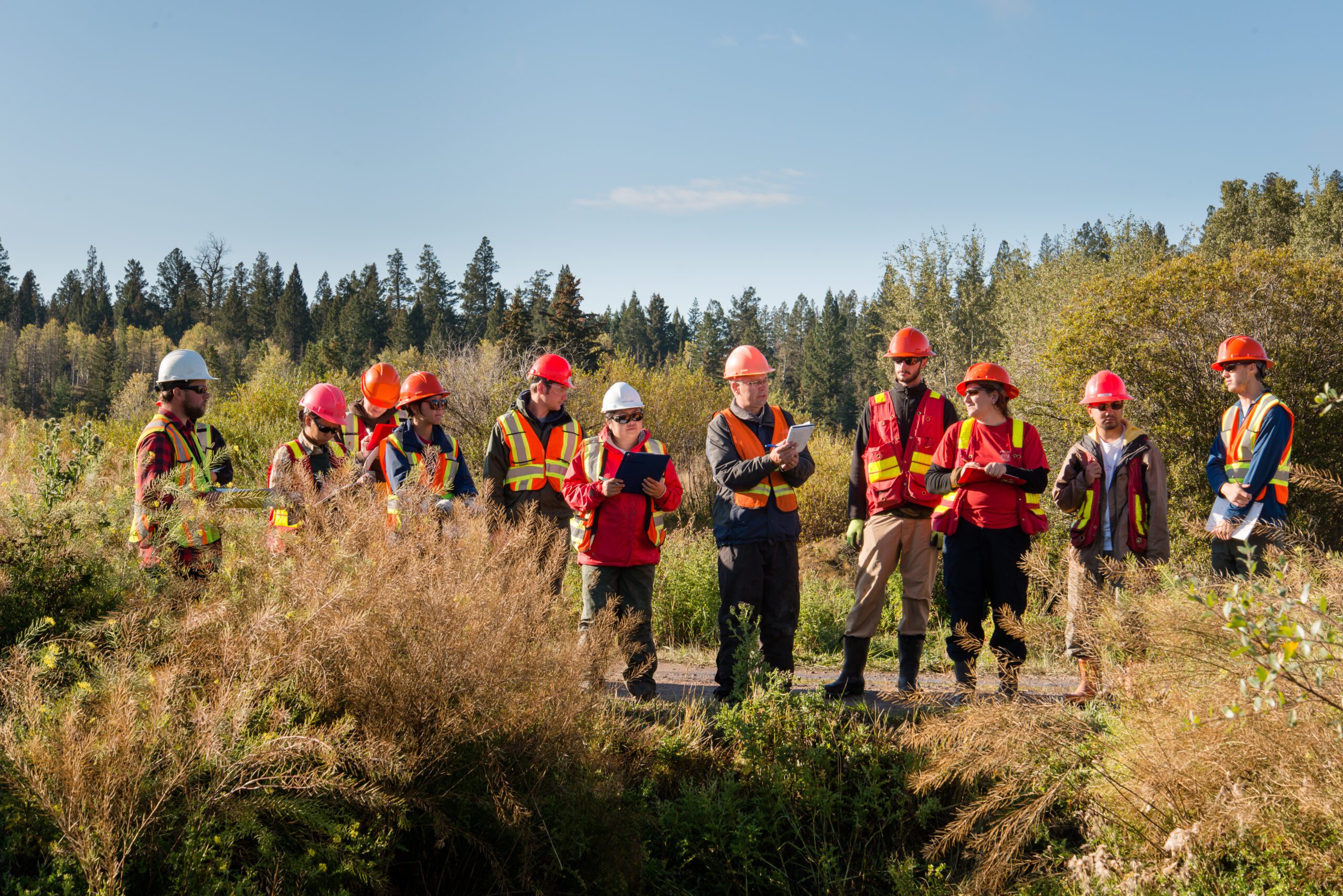 nursing courses bcit